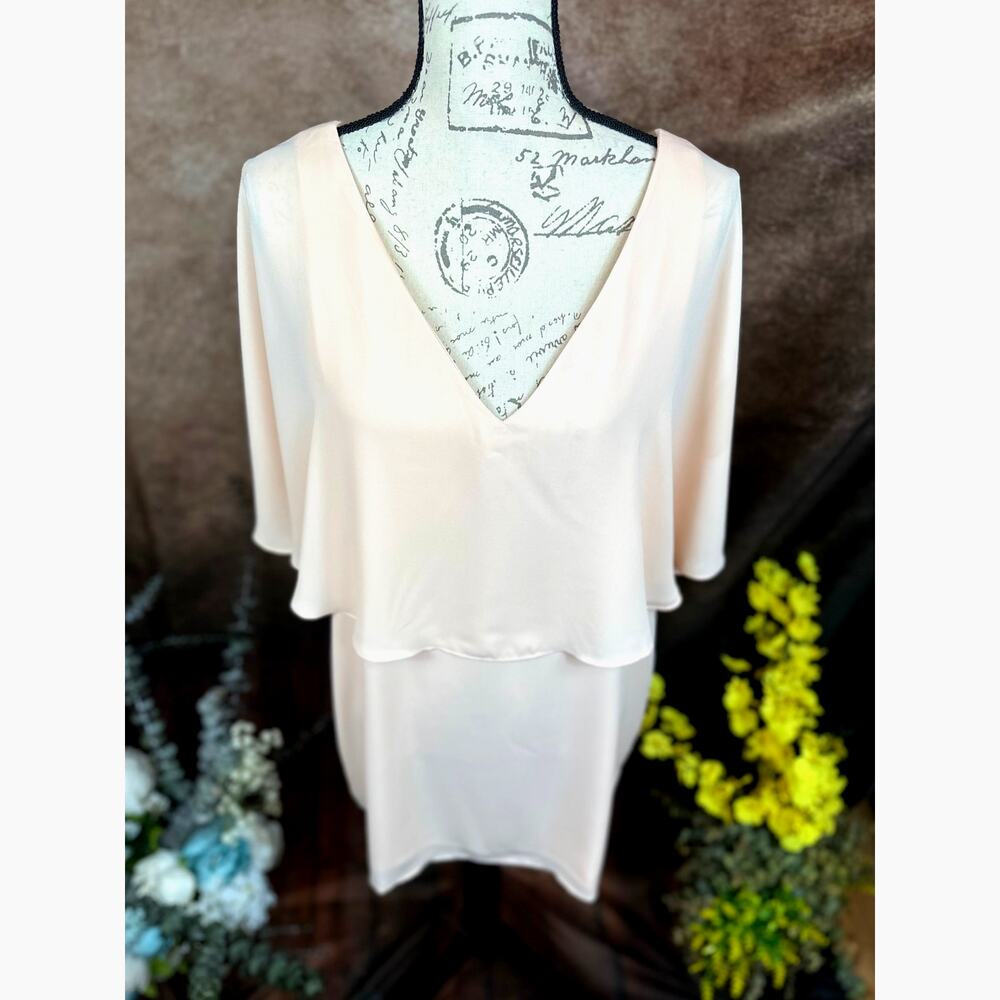 Three Eighty Two V Neck Overlay Chiffon Mini Dres… - image 5